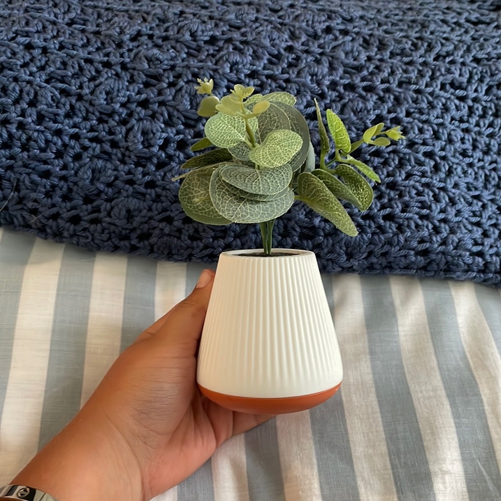 Fake plant that holds bath and Bodyworks hand sanitizer
